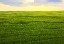 九游体育入口-jackeylove喻文波