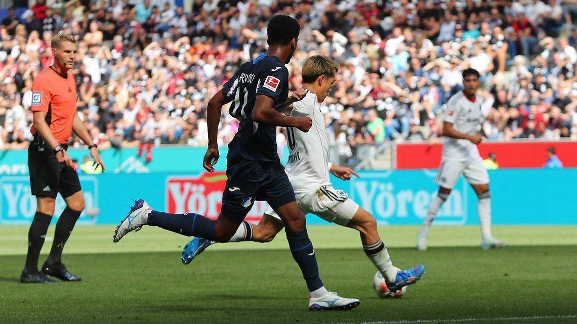 九游体育官网-法兰克福哈勒强壮