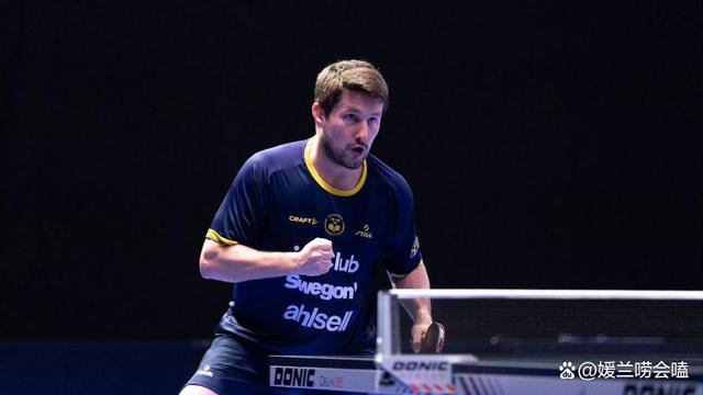 国际赛场黑马现身,引人关注